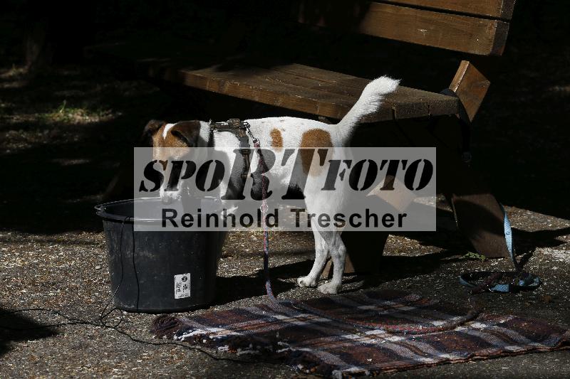 /16 16.05.2025 PROMAX ADR/Impressionen